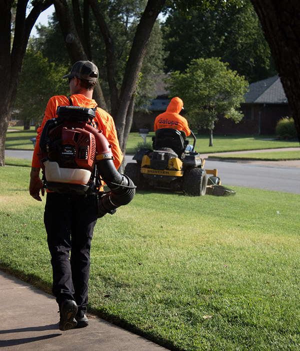 Galopa Services - Lawn Care and leaf blowing crew